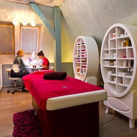 Palac Domaniowski Hotell